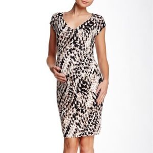 Maternity Leopard-Print Sheath Dress - Black & Cream